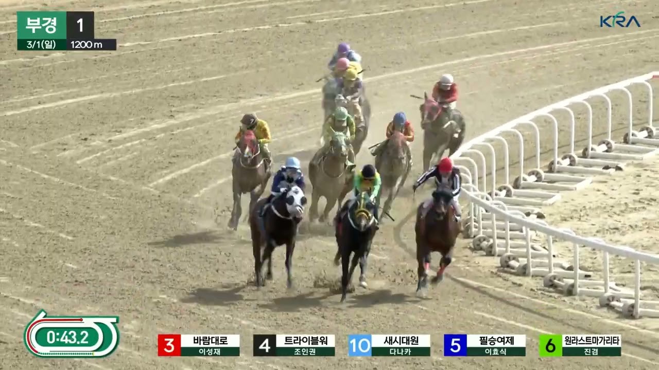 부경 다승 1위.문현철.조교사 잘나간다
