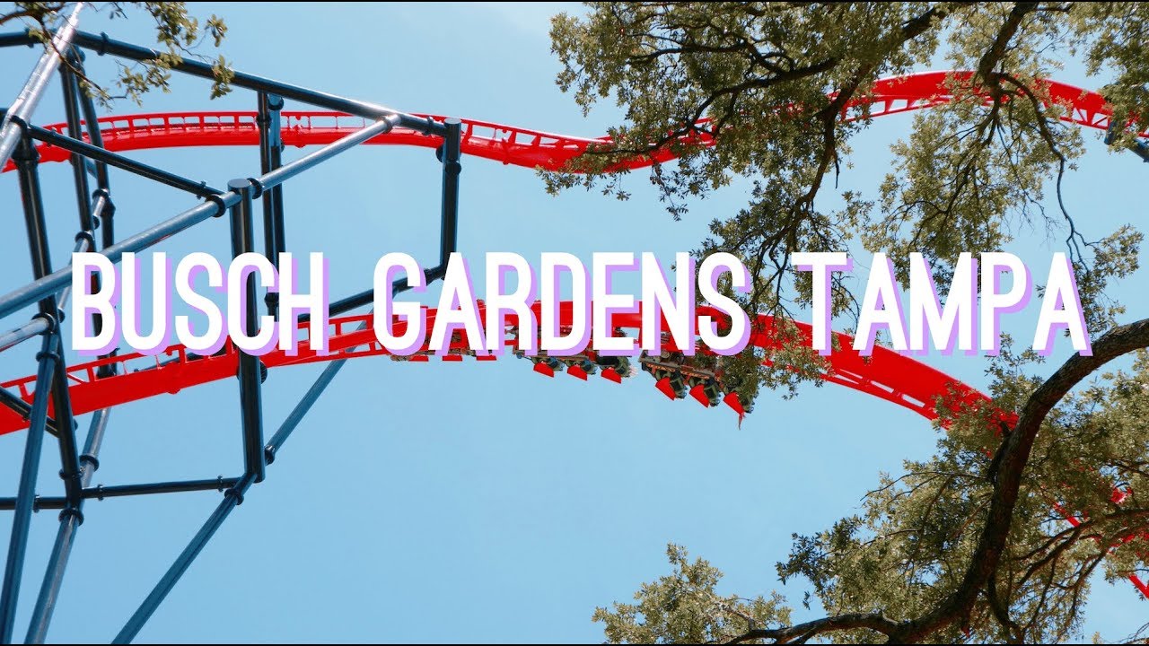 Busch Gardens Tampa Child Swap Fasci Garden
