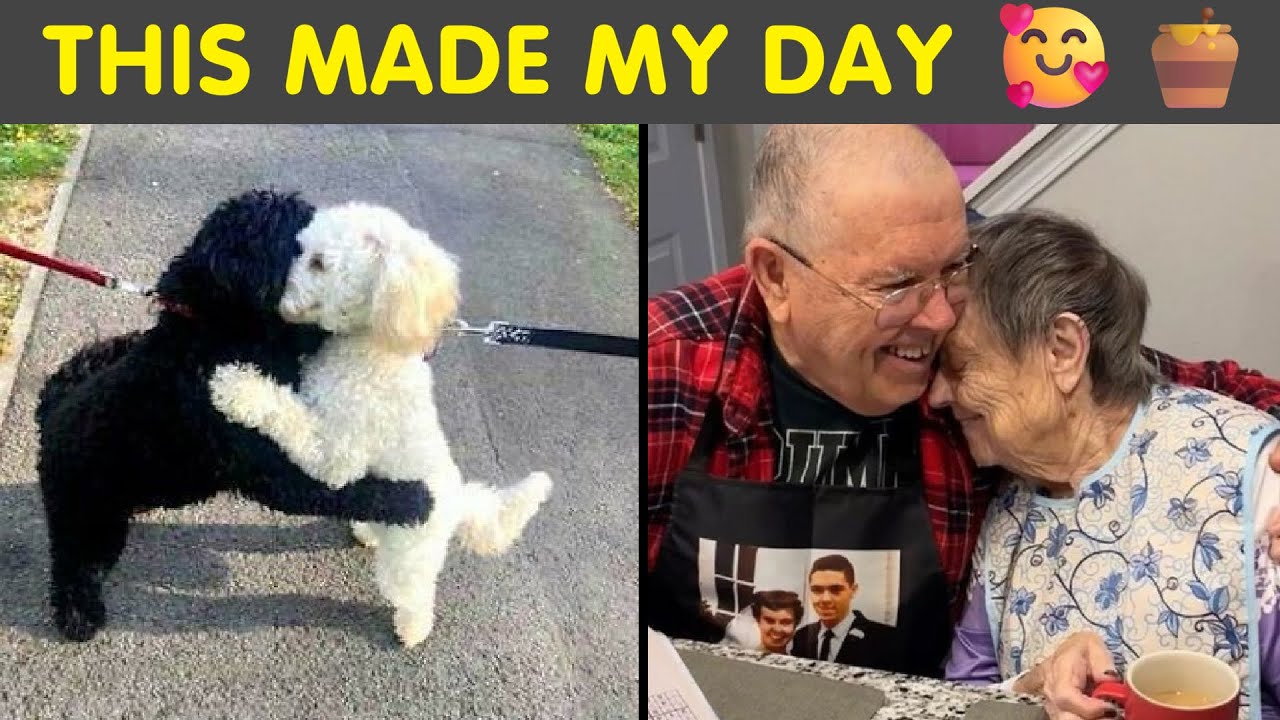 Sweet & Wholesome Posts From One Of The Kindest Communities Online 🥰🍯