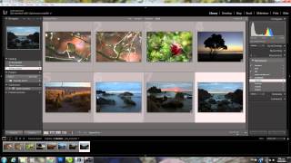 Adding Metadata In Lightroom 5 Adding Metadata In Lightroom 5