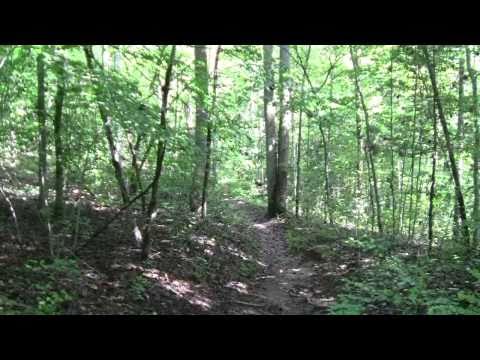 A Walk on Lake Trail at Big Ridge State Park in Maynardville, Tennessee in Union County