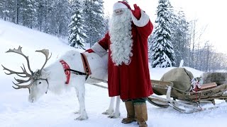 Reindeer News of Santa Claus to children 🦌🎅Father Christmas Lapland Rovaniemi Finland for kids PNP