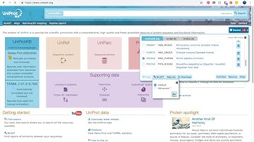 How to blast using Uniprot