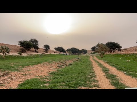 شعيب ابا الناس و شعيب الفويلق عسة قريبه