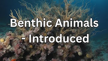 Benthic Animals - Introduced