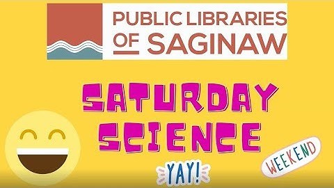 Saturday Science   Circuit Bugs