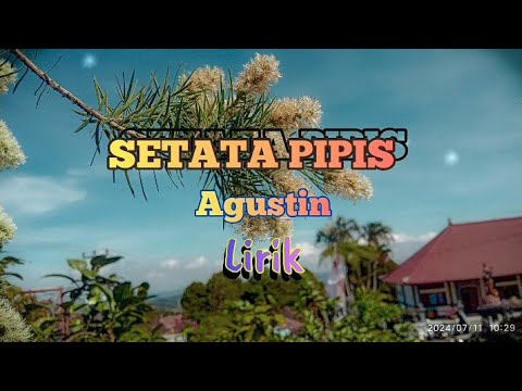 DJ SETATA PIPIS AGUSTIN SLOW BASS
