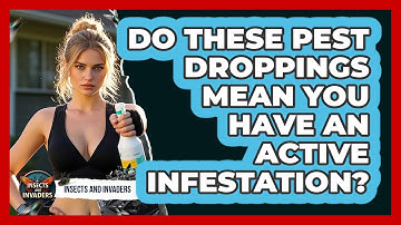 Do These Pest Droppings Mean You Have An Active Infestation? - Insects and Invaders