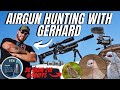 Air gun hunting with gerhard i fx impact m3 pest control i air rifle long range shooting