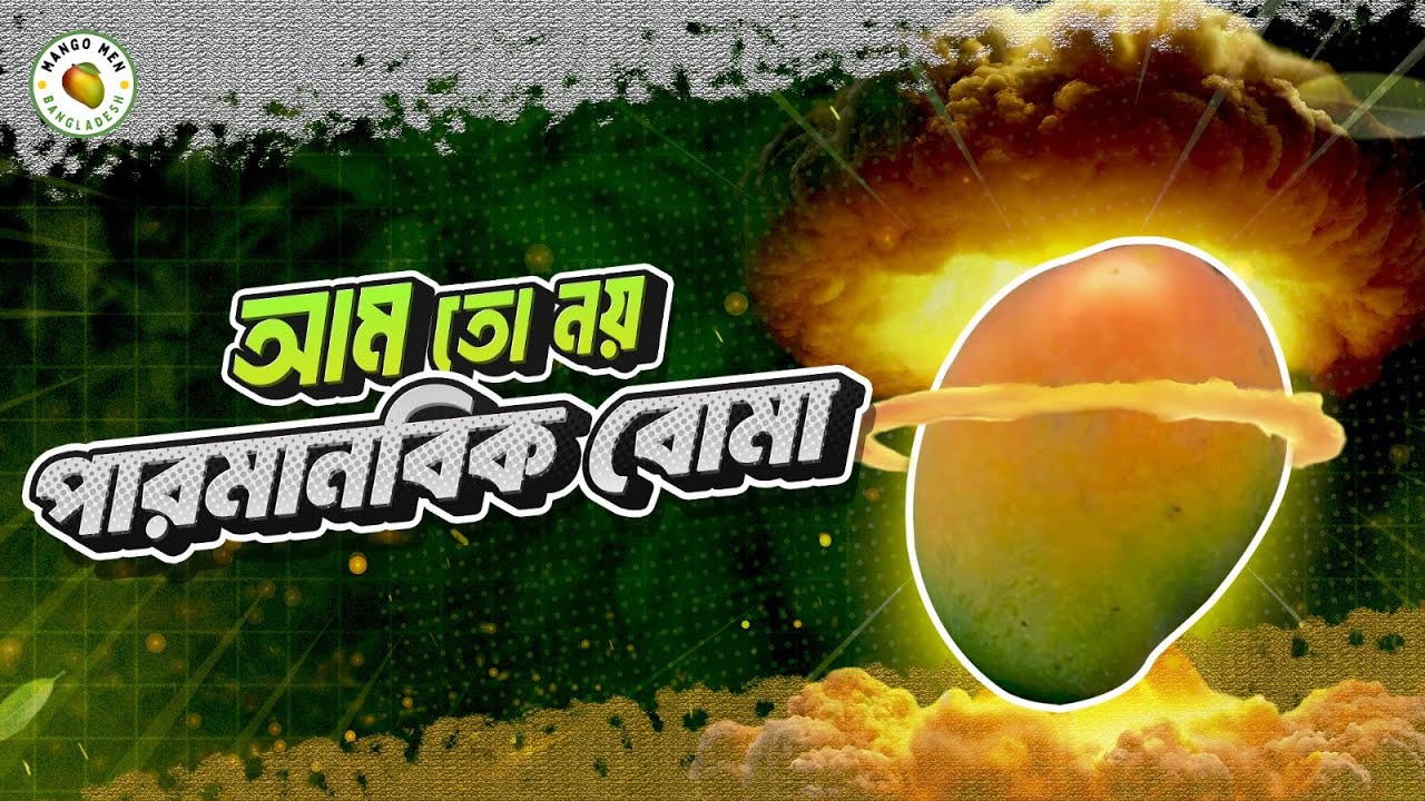 কড়া মিষ্টি ও উচ্চ ফলনশীল এটম আম বোমা । Nuclear Mango Bomb