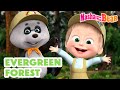 Masha and the bear 2024  evergreen forest  best episodes cartoon collection 