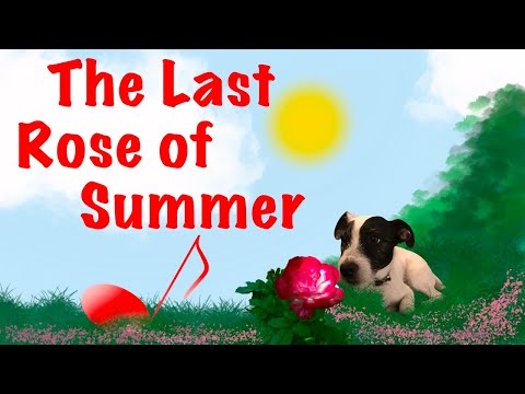 The Last Rose of Summer from "My First Violin Solos" book series for Violin Beginners