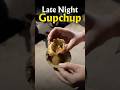 Viral Gupchup, ରାତି 10pm ରେ ଗୁପଚୁପ ଖାଇଚାଲ 🤤🥵 #bhubaneswar #gupchup #viral #odiashorts