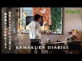 【冬の始まりの一日】心とからだをつくる食生活、セルフケア、癒しと解放のための必要なものたち|30代の鎌倉移住暮らし
