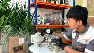 Wilden P1 Pump test