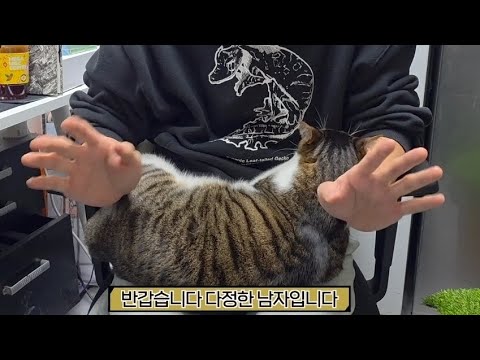 참다참다 업로드 합니다. 파충류 도축범 저 아닙니다.