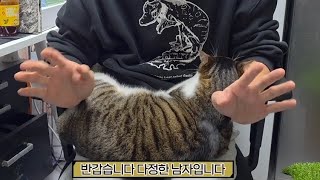 참다참다 업로드 합니다. 파충류 도축범 저 아닙니다.