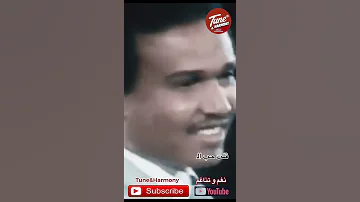 قلت حب الناس لو يجمع بجـوف مايجي لو ربع احسـاسي بكـي Shorts 