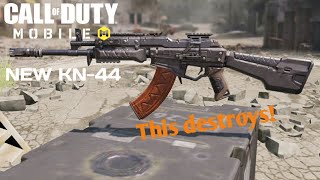 You must use the KN-44 in S&D - COD Mobile