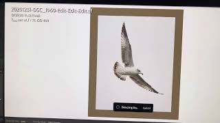Adobe Lightroom- Why soft proof images? screenshot 3
