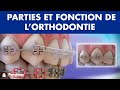 Appareil dentaire – Parties et fonction de l’orthodontie ©