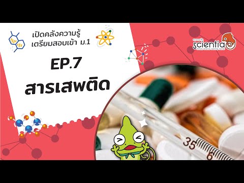เปิดคลังความรู้ วิทยาศาสตร์ เตรียมสอบ เข้าม.1 Ep.7 สารเสพติด l Scientia เปิดคลังความรู้ วิทยาศาสตร์ เตรียมสอบ เข้าม.1 Ep.7 สารเสพติด l Scientia