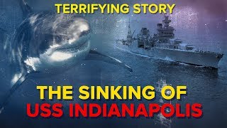 The Sinking of USS Indianapolis - What Happened to the Men on Board?
