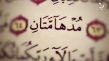 ما معنى كلمة مدهآمتان المذكورة في سورة الرحمن؟