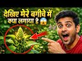 👉 देखिए मेरे बगीचे में क्या लगाया है 😱 | 7 दिन में चौंकाने वाला रिजल्ट!