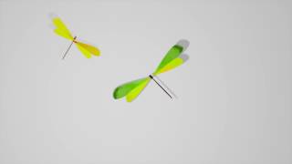 Sunset Mesa - Dragon Fly :30