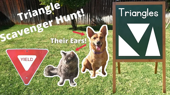 Professor Ginger and the Triangle Scavenger Hunt  4K