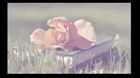 تلاوة تقشعر لها الابدان - القارئ سامي الدوسري