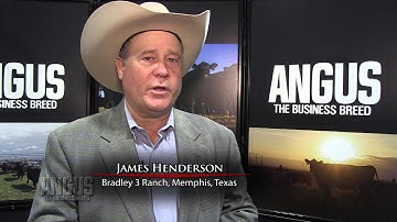 The Angus Report, Feb. 25, 2013: Practical Applications