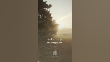 ما تيسر من سورة الزمر || القارئ بدر البشر