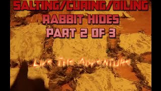 Salting/Curing/Oiling Rabbit Hides Part 2 of 3