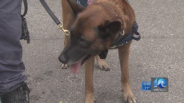 Team Coverage: Hurricane Matthew Pummels Florida Coast