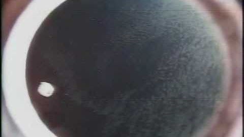 SOAREX III View from Ejected Waverider Payload