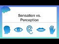 What’s the Difference between Sensation and Perception?