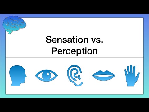 What’s the Difference between Sensation and Perception?