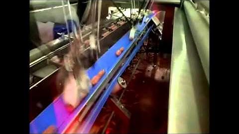 Fresh Sausage Double Link Tray Loading Conveyor System