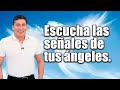 Reconoce y escucha las señales de tus ángeles| Por el Placer de Vivir con el Dr. César Lozano