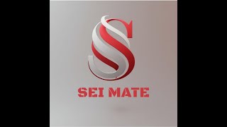 Sei Mate Demo For The Consumer Agent Track