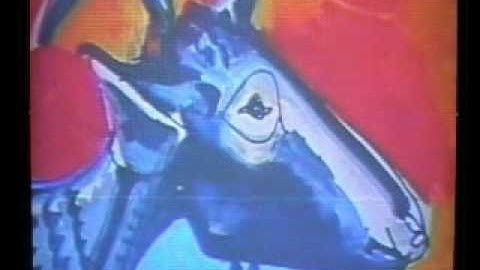 "fushigi" by inchkii