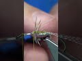 March Brown Spider Soft Hackle Wet #shorts