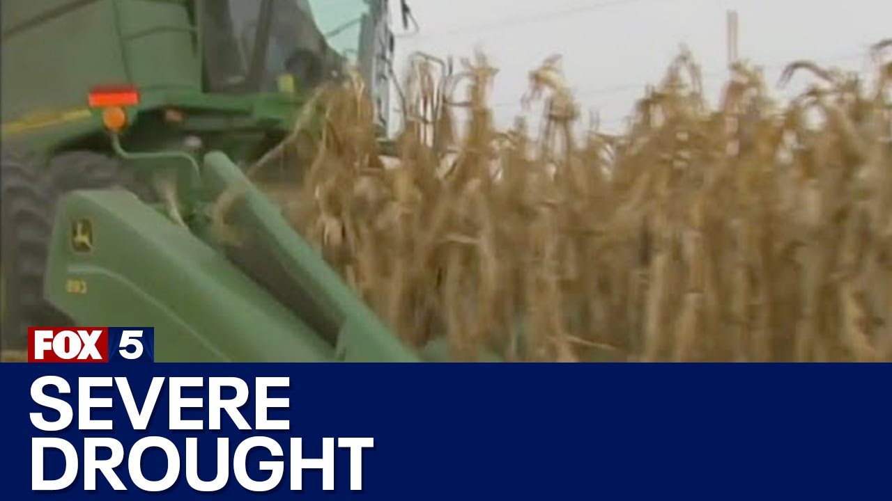 Ranchers, farmers battling worst drought in century | FOX 5 News