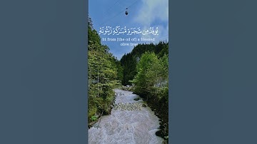 الله نور السموات والأرض)#قران_كريم #تلاوة_خاشعة #راحة_نفسية #quran_english_translation #ياسر_الدوسري