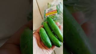 Dubai এ সবজির দাম কত? অমরা কি কি সবজি নিলাম।