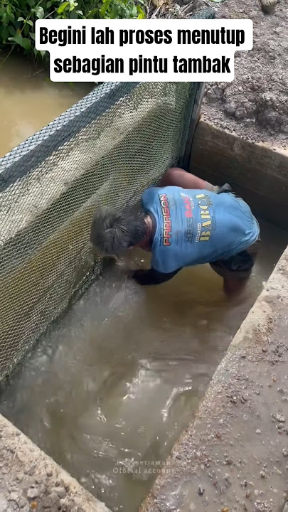 This is the process of closing part of the pond door #short #shorts #shortvideo