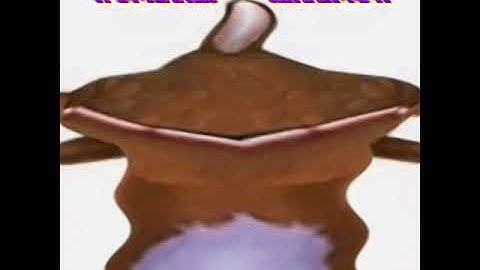 Preview 2 Globox Deepfake