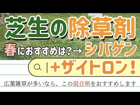 芝生の種まきと雑草対策、正しい順番は?プロが実践するタイミングのコツ